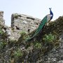 2. Saltwood Castle